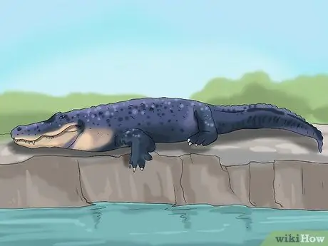 Наслаждайтесь зоопарком Шаг 11