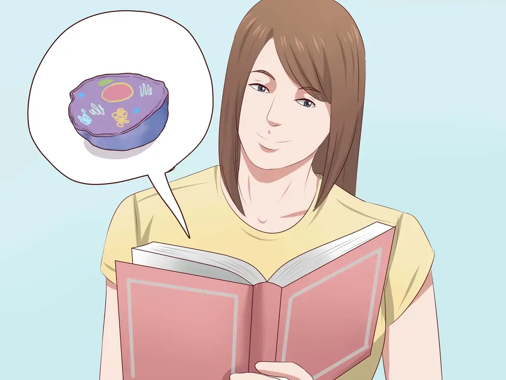 Как преподавать биологию: 11 шагов (с иллюстрациями)