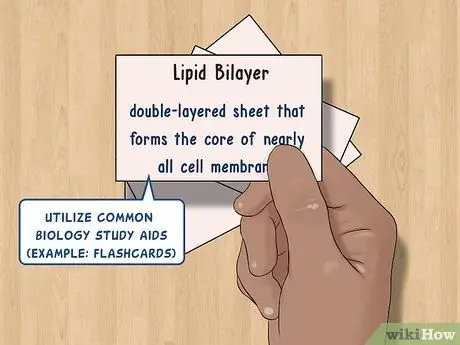 Прочитать главу «Биология», шаг 9