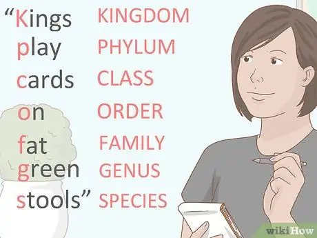 Учись усерднее, шаг 11