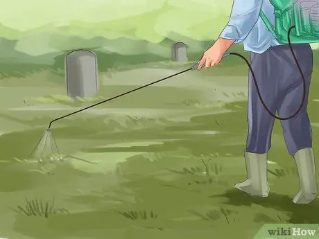 Защитить и сохранить исторические кладбища Шаг 14