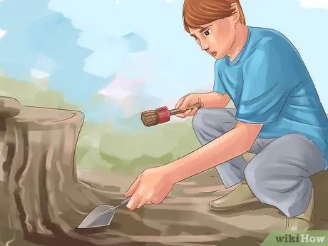 Защитить и сохранить исторические кладбища Шаг 9