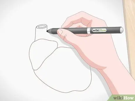 Нарисуйте человеческое сердце. Шаг 3