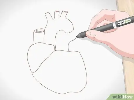 Нарисуйте человеческое сердце. Шаг 5