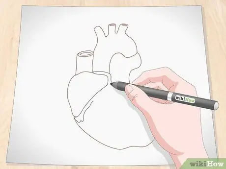 Нарисуйте человеческое сердце. Шаг 6