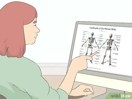 Изучение анатомии для рисования, шаг 2