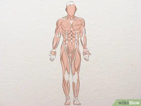 Изучение анатомии для рисования, шаг 5