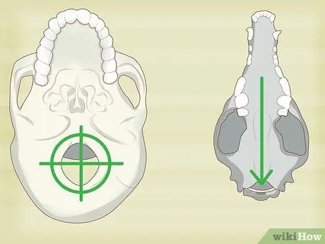 Определение человеческих костей, шаг 4