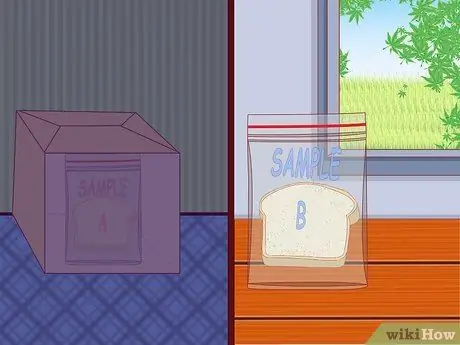 Заставляем плесень расти на хлебе Шаг 9