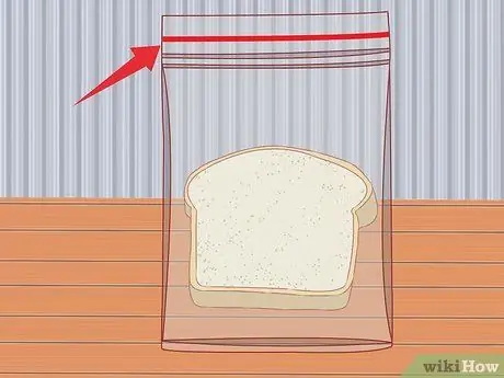 Как заставить плесень расти на хлебе Шаг 3