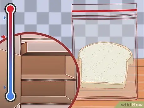 Заставляем плесень расти на хлебе Шаг 4