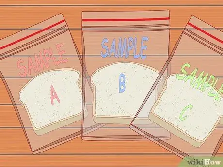 Заставляем плесень расти на хлебе Шаг 7