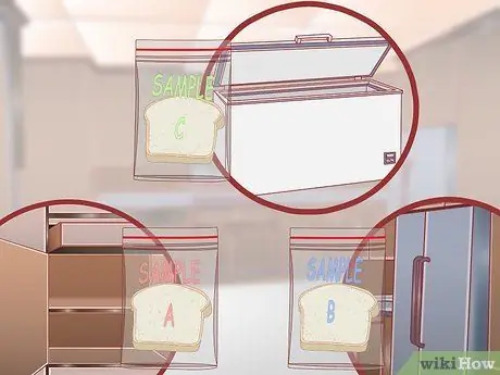 Как заставить плесень расти на хлебе Шаг 8