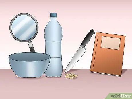 Выполните эксперимент по рассечению семян фасоли, шаг 1