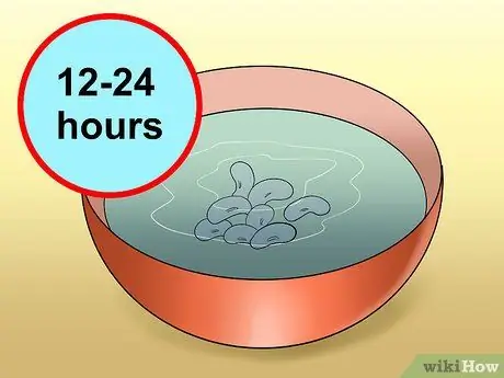 Выполните эксперимент по рассечению семян фасоли, шаг 2