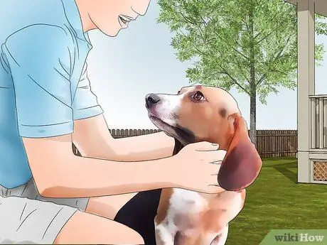 Ускорение времени, шаг 13