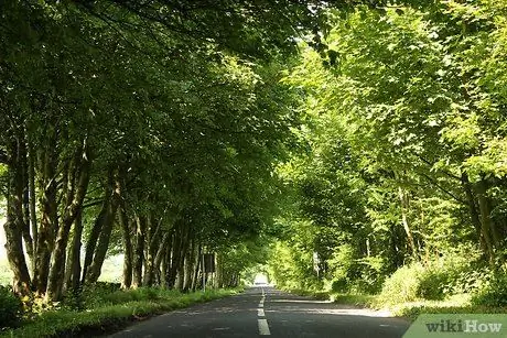 Напишите дневник благодарности Шаг 10