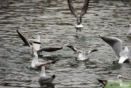Напишите дневник благодарности Шаг 5