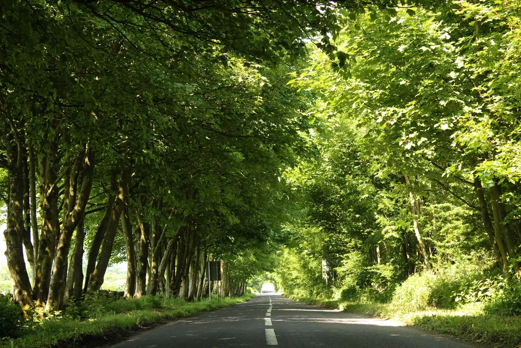 Как написать дневник благодарности: 10 шагов (с картинками)