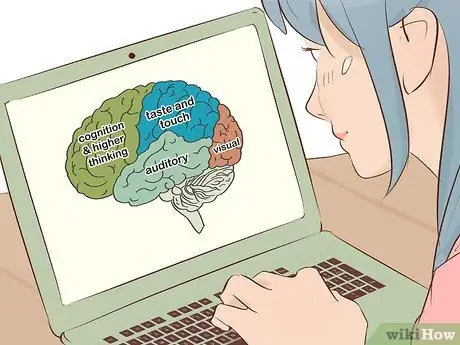 Изучение мозга Шаг 7