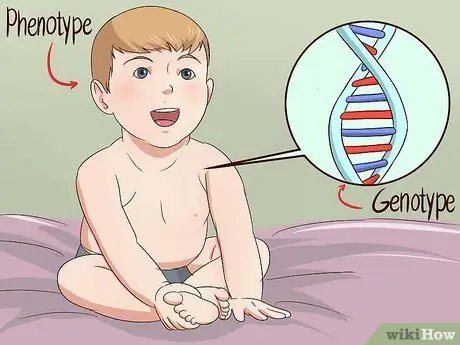 Сделайте квадрат Пеннета Шаг 10