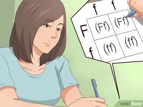 Сделайте квадрат Пеннета Шаг 13