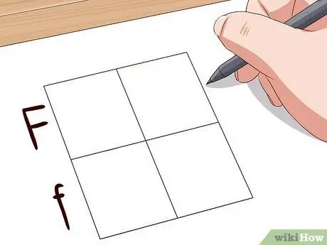 Сделайте квадрат Пеннета Шаг 4