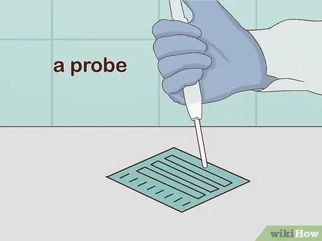 Определите генотип Шаг 12