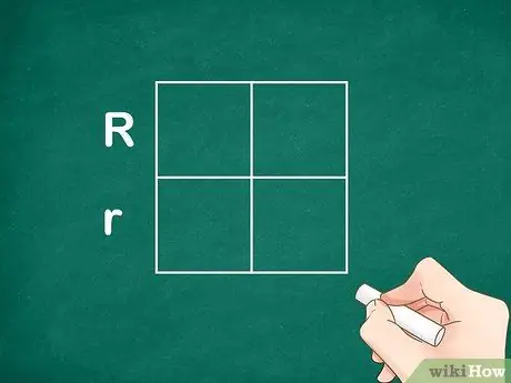 Определение генотипа, шаг 2