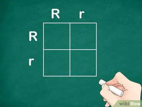 Определите генотип Шаг 3