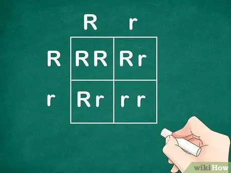 Определение генотипа Шаг 4