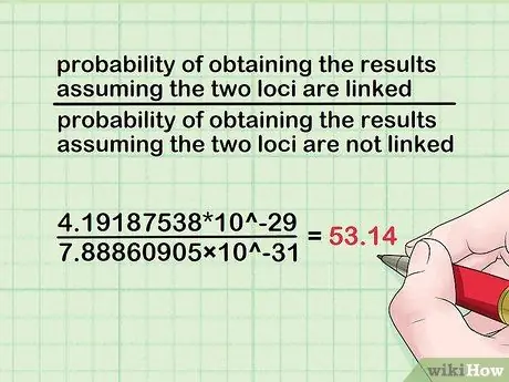 Расчет LOD Score Шаг 10