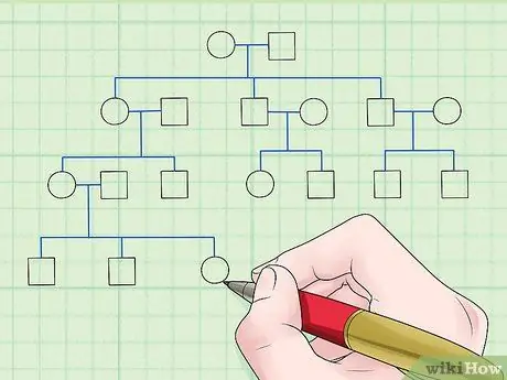 Расчет LOD Score Шаг 6
