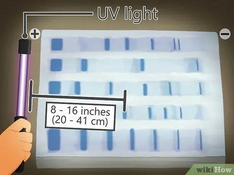 Прочитать ленты для гель-электрофореза, шаг 1