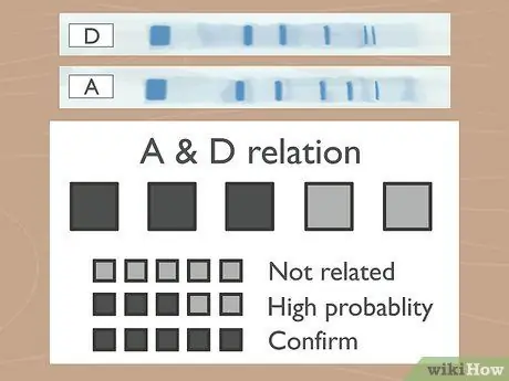 Прочтите информацию о лентах для гель-электрофореза, шаг 10