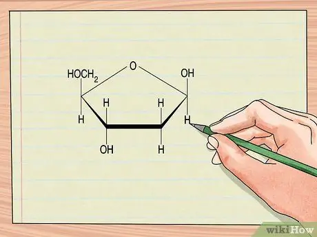 Понять структуру ДНК, шаг 1