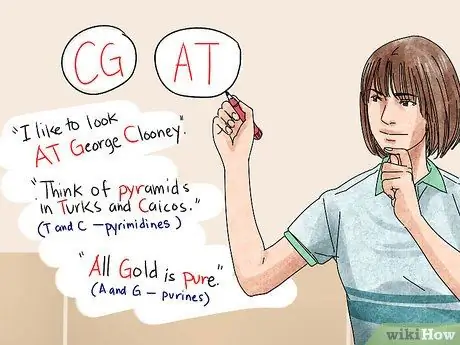 Понять структуру ДНК, шаг 10