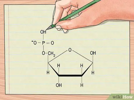 Понять структуру ДНК, шаг 2