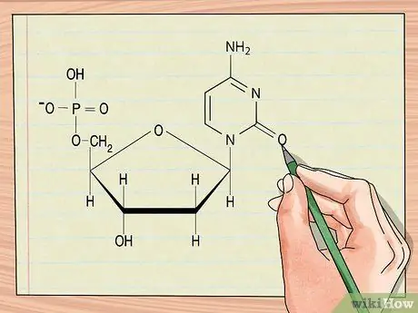 Понять структуру ДНК, шаг 4