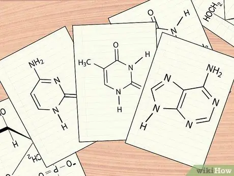 Понять структуру ДНК, шаг 8