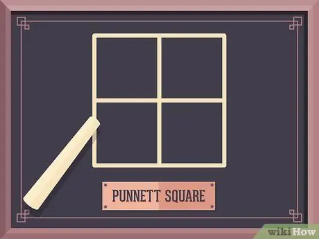 Использование квадрата Пеннета для моногибридного креста Шаг 2
