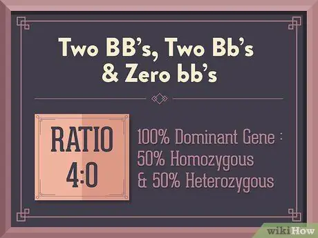 Сделайте моногибридный крест с помощью квадрата Пеннета Шаг 7