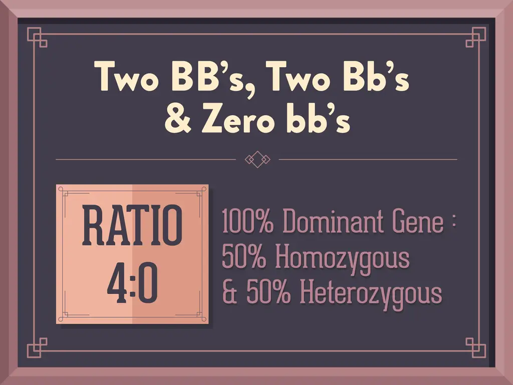 Как использовать квадрат Пеннета для моногибридного креста: 7 шагов