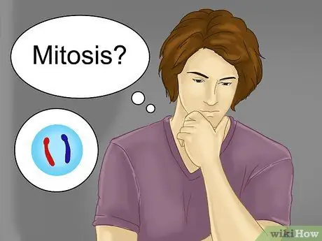 Различия между митозом и мейозом Шаг 1