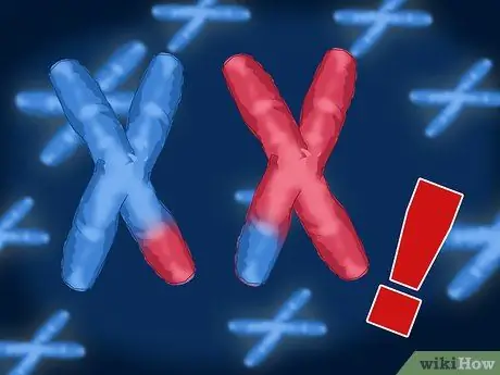 Различия между митозом и мейозом Шаг 5