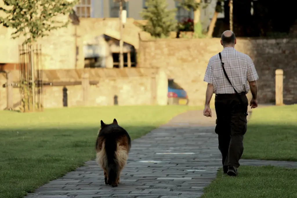 Как вылечить зависимость от кредитной карты: 9 шагов (с иллюстрациями)