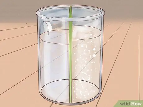 Отделить соль от воды Шаг 9