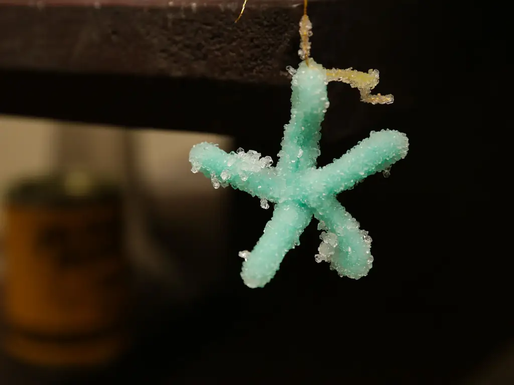 Как вырастить кристаллы из стиральной соды: 11 шагов (с иллюстрациями)