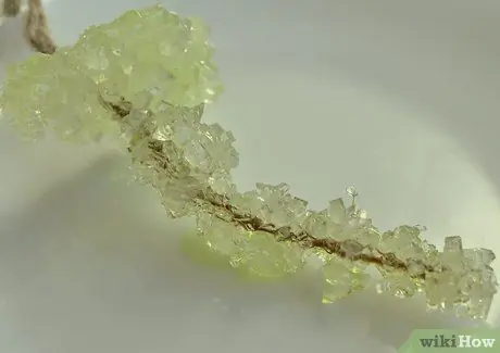 Сделать Хрустальный сад Шаг 16