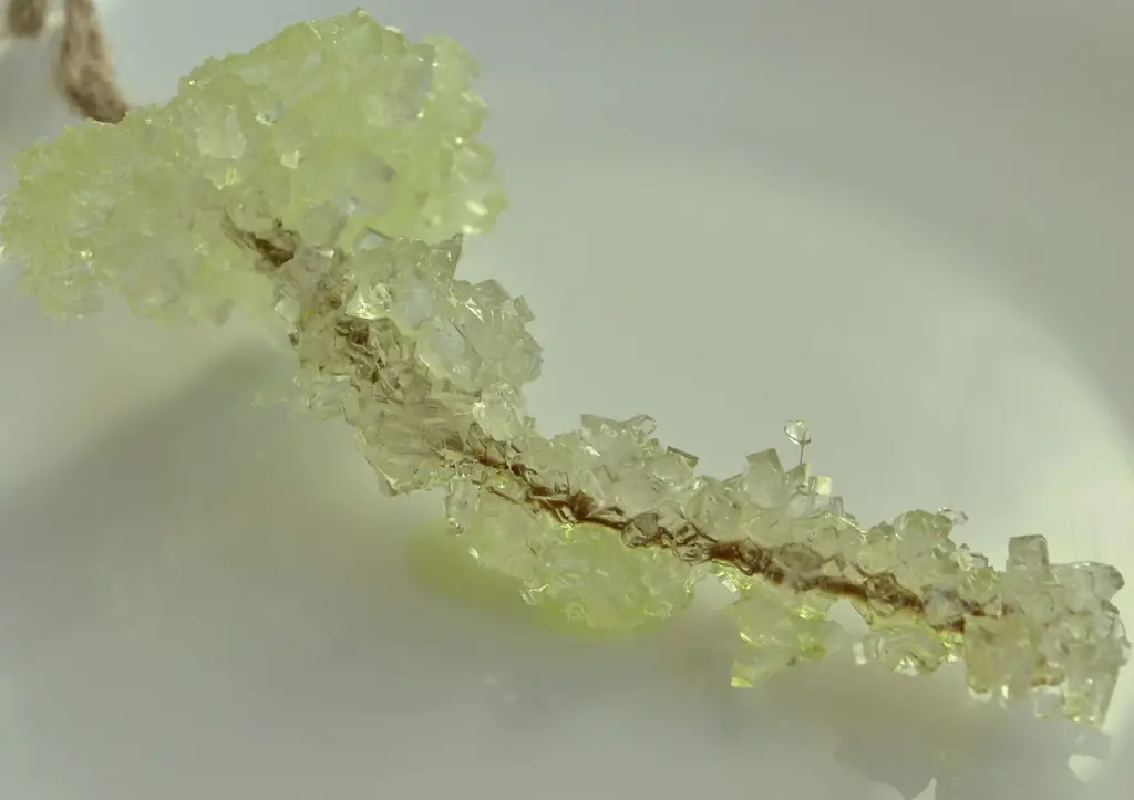 3 способа сделать хрустальный сад